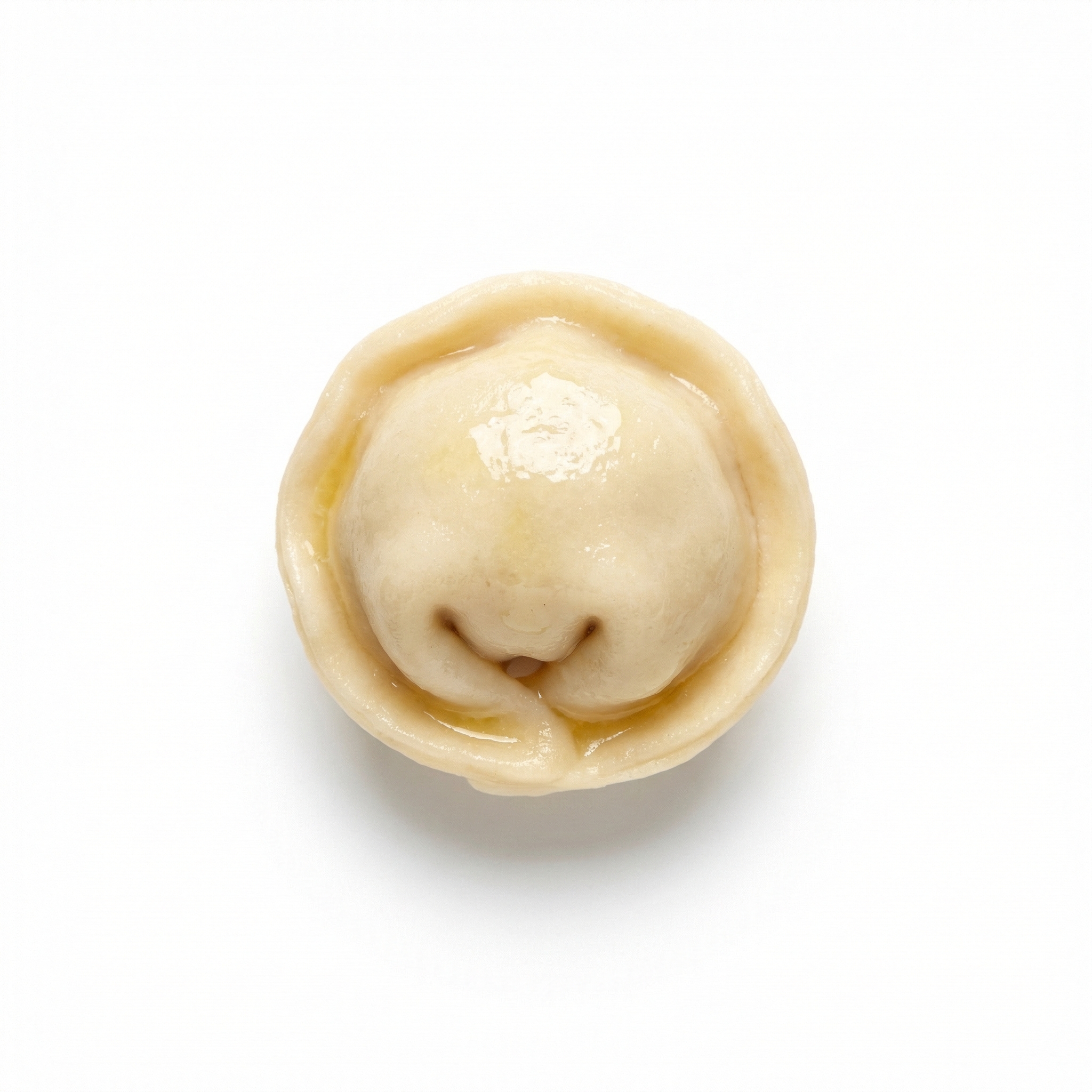 Pelmeni — handmade Eastern European meat dumpling